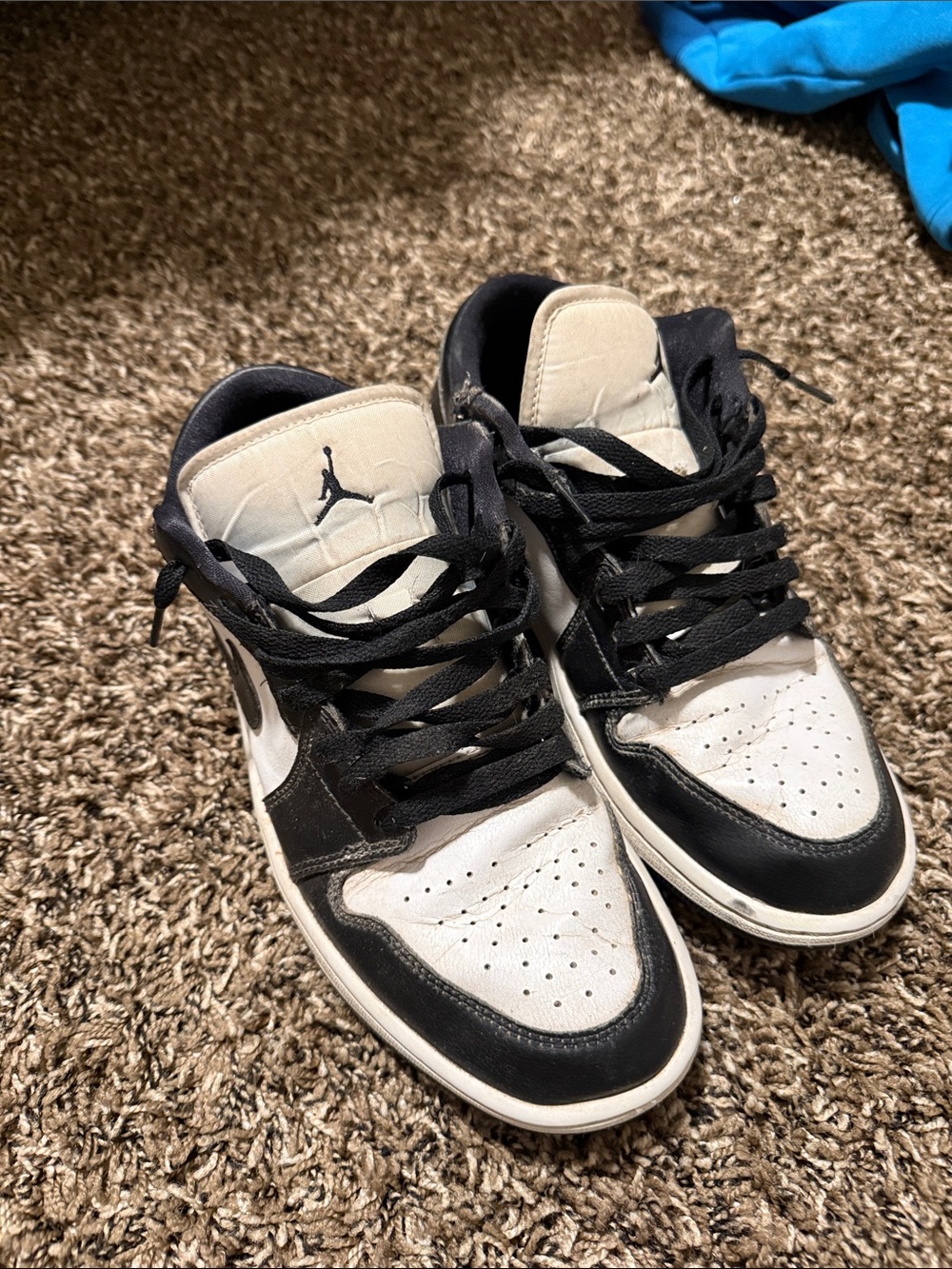Jordan Low Top Sneakers in White and Black